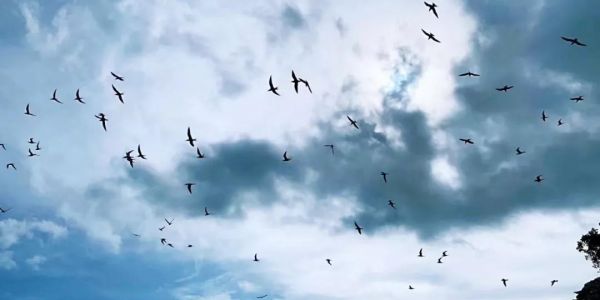 宏工團(tuán)建 | 團(tuán)結(jié)×力量 無一可落單